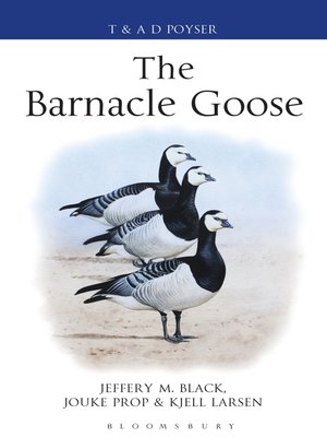 cover image of The Barnacle Goose